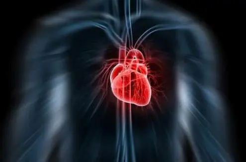 New evidence indicates patients recall death experiences after cardiac arrest