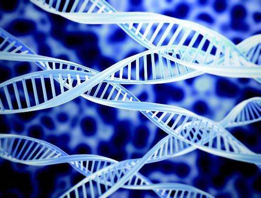 Genetic biomarker may predict severity of food allergy